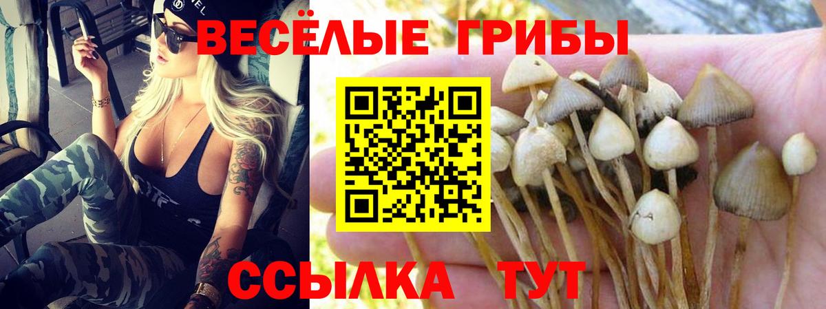 Норильск  Псилоцибиновые грибы Cubensis  Псилоцибиновые грибы Psilocybe  Вход с VPN 